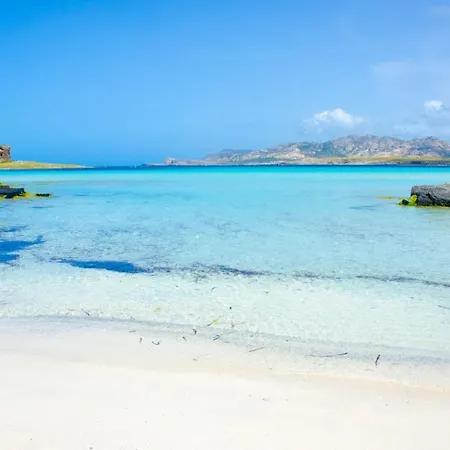 Miguel House Apartamento *